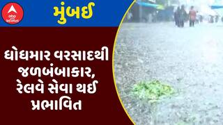 Mumbai Rain: મુંબઈમાં ધોધમાર વરસાદથી જળબંબાકાર, રેલવે સેવા થઈ પ્રભાવિત, જુઓ અહેવાલ