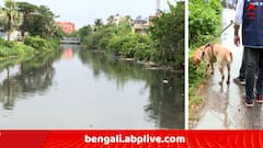 আনন্দপুরের নোনাডাঙা খাল থেকে জোড়া মৃতদেহ উদ্ধার ! দুজনের মধ্যে প্রেমের সম্পর্ক ছিল, কীভাবে মৃত্যু হল যুগলের?