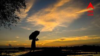 Weather Update: দক্ষিণে ফের দুর্যোগের পূর্বাভাস, সপ্তাহভর ভারী বৃষ্টি এই জেলাগুলিতে