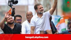 রাহুল গাঁধীই পরবর্তী প্রধানমন্ত্রী পদপ্রার্থী? I.N.D.I.A-র হয়ে ঘোষণা তেজস্বী যাদবের, বাকিরা মানবেন তো?
