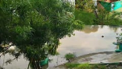 दिल्ली में यमुना के बढ़ते जलस्तर का दिख रहा असर, घरों में घुसा पानी, किसानों की भी बढ़ी परेशानी