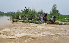 ਸਰਕਾਰ ਦੀ ਨਲਾਇਕੀ ਕਰਕੇ ਹੜ੍ਹਾਂ ਨਾਲ ਪਿੰਡਾਂ ਦਾ ਹੋ ਰਿਹਾ ਉਜਾੜਾ, CM ਮਾਨ ਨੂੰ ਸਟੇਜਾਂ ਤੋਂ ਉੱਤਰ ਕੇ ਨਿਭਾਉਣੀ ਚਾਹੀਦੀ ਆਪਣੀ ਜ਼ਿੰਮੇਵਾਰੀ- ਪਰਗਟ ਸਿੰਘ