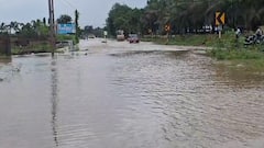Gir Somnath Rain: ગીર સોમનાથ જિલ્લામાં મેઘરાજાની તોફાની બેટિંગ, નદી-નાળા છલકાયા