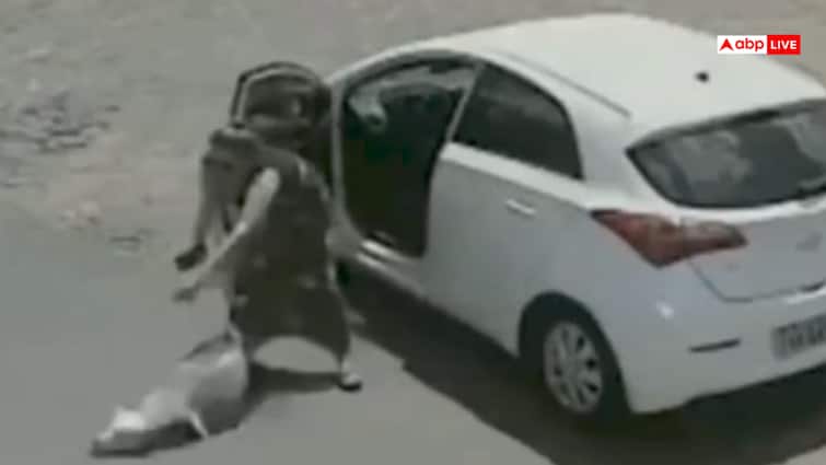 Video: विकलांग कुत्ते को सड़क पर छोड़ गई महिला, धक्का भी दिया, वीडियो देख भर आएंगी आंखें