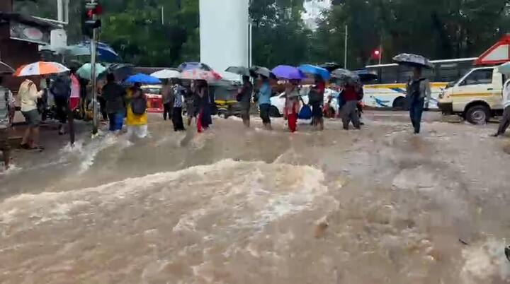 तसेच, मुंबई आणि कोकण विभागातील महाविद्यालयांनाही आज सुट्टी जाहीर करण्यात आली आहे.