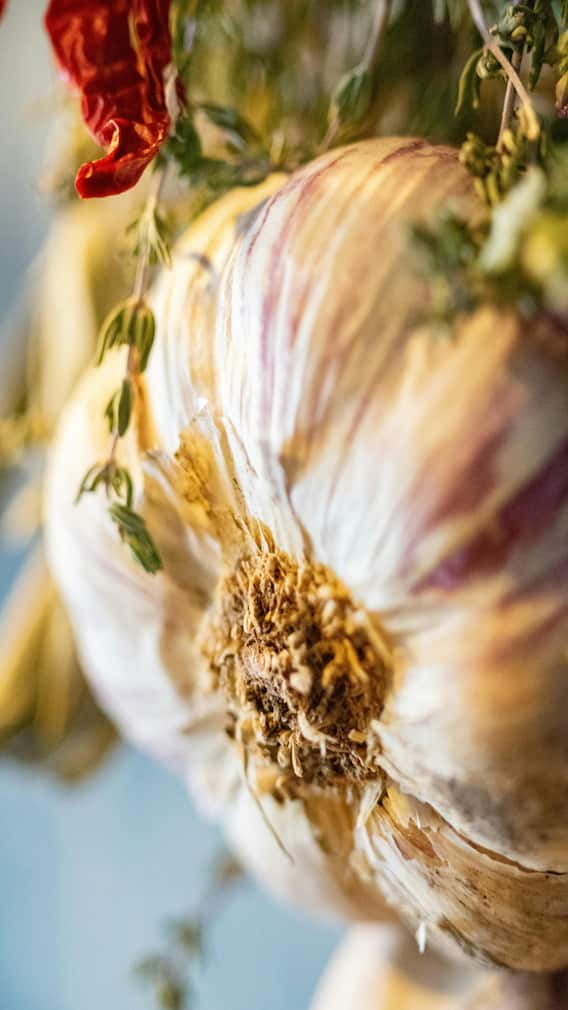 लसूण कोणत्या व्यक्तींनी खाऊ नये?