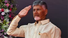 INDIA Bloc's Vice President Pick Puts TDP In Tight Spot: Regional Loyalty Vs NDA Dilemma