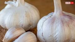 रोज खाइए इस छोटी सी सफेद चीज के तीन टुकड़े, एक नहीं 10 हैं फायदे