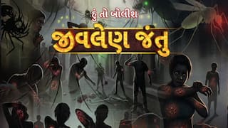 Hun To Bolish : હું તો બોલીશ : જીવલેણ જંતુ