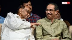 उप-राष्ट्रपति चुनाव में किसे वोट करेगी उद्धव ठाकरे और शरद पवार की पार्टी? साफ किया रुख