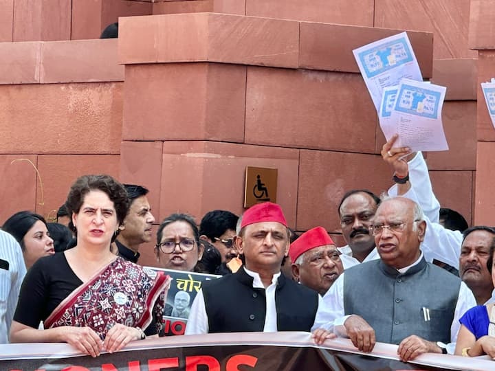 समाजवादी पार्टी के सांसद और प्रमुख अखिलेश यादव ने मीडिया से बातचीत में हलफनामों की प्रतियां दिखाईं. उन्होंने कहा कि हमने हलफनामे दिए हैं और ईमेल भेजे हैं. ईमेल भेजने के बावजूद 18,000 लोगों को वोट नहीं करने दिया गया और उनके नाम काट दिए गए. कई जगहों पर एफआईआर दर्ज की गई हैं, लेकिन प्रशासन दबाव बना रहा है.