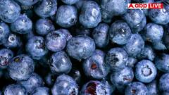 दिल हो जाएगा लोह लाट और रहेगा एकदम फिट,  आज से खाना शुरू कर दें ये 5 फूड