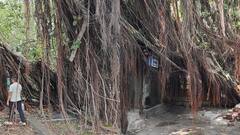 दिल्ली के साउथ एक्स में लटका सैकड़ों साल पुराना वट वृक्ष, लोग दहशत में, क्या है हादसे का इंतजार?