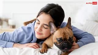 कुत्ते को अपने बिस्तर पर तो नहीं सुलाते आप, डॉक्टर्स से जानिए ये कितना खतरनाक