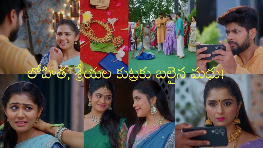 Chinni Serial Today August 20th: చిన్ని సీరియల్: మధుపై దొంగతనం నింద.. మెడ పట్టుకొని గెంటేసిన వల్లి! అసలు నేరం చేసిందెవరో మహి నిరూపించాడా! chinni serial august 20th episode written update in telugu Chinni Serial Today August 20th: చిన్ని సీరియల్: మధుపై దొంగతనం నింద.. మెడ పట్టుకొని గెంటేసిన వల్లి! అసలు నేరం చేసిందెవరో మహి నిరూపించాడా!