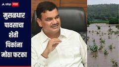 मुसळधार पावसाचा शेती पिकांना मोठा फटका, 20 लाख 12 हजार एकर क्षेत्रावरील पिकांचं नुकसान, कृषीमंत्र्यांची माहिती
