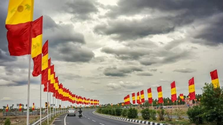 19-Year-Old Vijay Electrocuted While Hoisting Flag Ahead Of TVK State Conference In Madurai