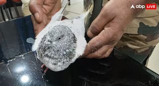 ਪਾਕਿਸਤਾਨ ਤੋਂ ਆਏ ਕਬੂਤਰ ਨੇ ਮਚਾਇਆ ਹੜਕੰਪ, ਰੇਲਵੇ ਸਟੇਸ਼ਨ ਨੂੰ ਉਡਾਉਣ ਦੀ ਧਮਕੀ ਵਾਲੀ ਪਰਚੀ ਲਿਆਇਆ ਨਾਲ