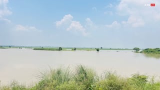 Flood in Punjab: ਪੰਜਾਬ 'ਤੇ ਹੜ੍ਹਾਂ ਦੀ ਹੋਰ ਮਾਰ! ਹਿਮਾਚਲ ਵੱਲੋਂ ਆ ਰਹੀ ਵੱਡੀ ਆਫਤ