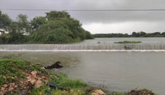 Porbandar Rain: પોરબંદરના બરડા પંથકમાં ભારે પવન સાથે ધોધમાર વરસાદ