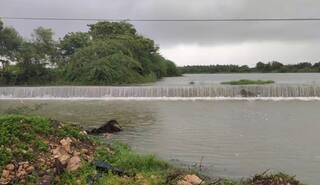 Porbandar Rain: પોરબંદરના બરડા પંથકમાં ભારે પવન સાથે ધોધમાર વરસાદ