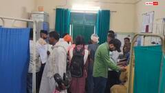 उधमसिंह नगर में कुत्तों का आतंक, बाजपुर में 24 घंटे में 60 शिकार, लोगों में दहशत