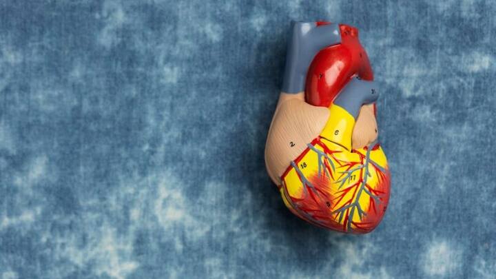 ডিসক্লেইমার: লেখায় উল্লেখিত দাবি বা পদ্ধতি পরামর্শস্বরূপ। এটি মেনে চলার আগে অবশ্যই সরাসরি বিশেষজ্ঞ/চিকিৎসকের পরামর্শ নিন।