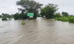 Gujarat Rain: 12 ઇંચ વરસાદથી મેંદરડા બેટમાં ફેરવાયું, જૂનાગઢ-મેંદરડા રોડ બંધ