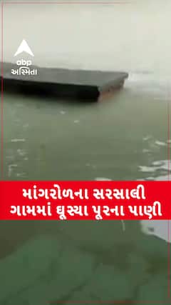 Mangrol Rain : માંગરોળના સરસાલી ગામમાં ઘૂસ્યા પૂરના પાણી, જુઓ શોર્ટ વીડિયો