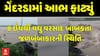 Junagadh Heavy Rains : જૂનાગઢના મેંદરડામાં ફાટ્યું આભ, આઠ ઈંચ વરસાદથી મેંદરડામાં જળબંબાકાર