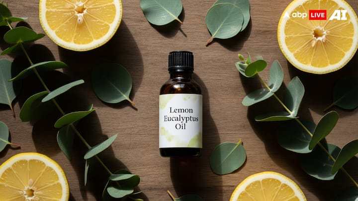 Lemon Eucalyptus Oil: Lemon eucalyptus oil provides excellent protection from mosquitoes. Combine 1 part oil with 10 parts sunflower oil or witch hazel to make a quick homemade repellent, but don't use it on very young children. (Image Source: ABP LIVE AI)