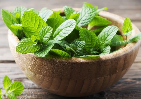 पुदीने के पत्ते: पुदीने की ठंडी तासीर दिमाग और नसों को आराम देती है. पुदीना खाने या इसकी चाय पीने से तनाव और बेचैनी कम होती है, जिससे गहरी नींद आती है.