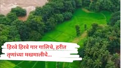 'हिरवे हिरवे गार गालिचे…' धुकं, धबधबे आणि हिरवाई; कोकणाचा पावसाळी साज!