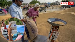 लाखों कमाने वाले भी इस्तेमाल कर रहे राशन कार्ड, जानें इनसे वसूली कैसे करेगी सरकार?