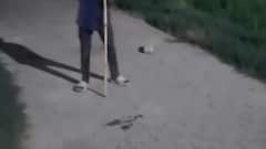 बलिया: कोबरा सांप को लाठी से मारने वाले नाबालिग पर एक्शन, आरोपी को बाल सुधार गृह भेजा