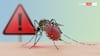 World Mosquito Day 2025: 6 Mosquito-Borne Diseases You Should Be Aware Of