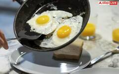 ਇਹ 5 ਲੱਛਣ ਦੱਸ ਦੇਣਗੇ ਕਿ ਤੁਹਾਡੇ ਸਰੀਰ ਵਿੱਚੋਂ ਤਾਂ ਨਹੀਂ ਹੋ ਗਈ ਪ੍ਰੋਟੀਨ ਦੀ ਕਮੀ, ਜਾਣੋ ਕਿਵੇਂ ਕਰੀਏ ਇਸ ਦਾ ਹੱਲ ?