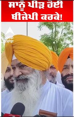 Sucha Singh Langah | ਸਾਨੂੰ ਪੀੜ ਹੋਈ ਬੀਜੇਪੀ ਕਰਕੇ! |Abp Sanjha