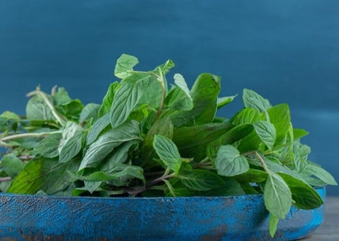 तुलसी के पत्ते: तुलसी के पत्ते मुंह के लिए प्राकृतिक क्लीनर का काम करते हैं. नियमित रूप से तुलसी के 4 पत्ते चबाने से मुंह में बैक्टीरिया नहीं पनपते और मसूड़े मजबूत होते हैं. इसके अलावा तुलसी दांतों की पीली परत को भी धीरे-धीरे साफ करने में मदद करती है.