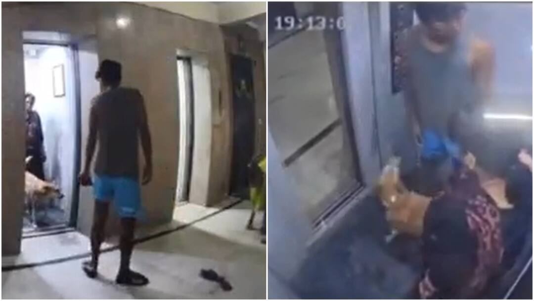 Pet Dog Mauls Domestic Help In Greater Noida's Amrapali Village, Owner Walks Away: VIDEO VIDEO Pet Street Dog Bites Maid In Greater Noida Amrapali Village Pet Dog Mauls Domestic Help In Greater Noida's Amrapali Village, Owner Walks Away: VIDEO