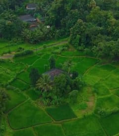 'हिरवे हिरवे गार गालिचे…' धुकं, धबधबे आणि हिरवाई; कोकणाचा पावसाळी साज!