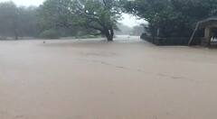 Rajkot Rain: રાજકોટ શહેરમાં ધોધમાર વરસાદ શરૂ, જિલ્લામાં આગામી 3 કલાક રેડ એલર્ટ