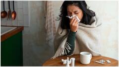 వర్షాకాలంలో మలేరియా నివారణ.. ఫాలో అవ్వాల్సిన ఇంటి చిట్కాలు, తీసుకోవాల్సిన జాగ్రత్తలు