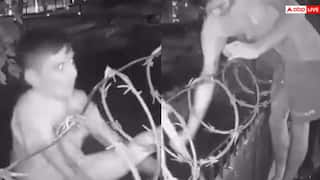 Video: बाउंड्री वाल और कंटीले तार, बावजूद शातिर चोर उठा ले गया साइकिल, हैरान कर देगा ये वीडियो