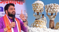 केंद्र सरकारचा मोठा निर्णय! कच्च्या कापसावरील आयात शुल्क 30 सप्टेंबरपर्यंत माफ; शेतकऱ्यांच्या आत्महत्या वाढणार, रविकांत तुपकर यांचा इशारा