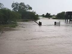 Amreli Rain: જાફરાબાદના ગ્રામ્ય વિસ્તારમાં ધોધમાર વરસાદ, રૂપેણ નદીમાં પૂર