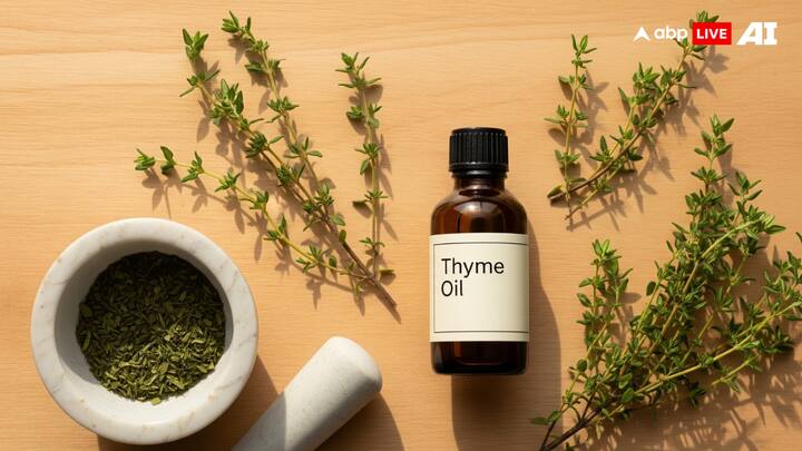 Thyme Oil: Thyme oil offers powerful protection against mosquitoes and can also be employed by burning thyme leaves outside. Combine drops of thyme oil with a base oil or water for a successful repellent. (Image Source: ABP LIVE AI)