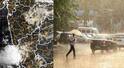 Maharashtra Weather Update : मुंबईवरचा पाऊस उत्तर महाराष्ट्राकडे सरकणार, तुफान बरसण्याची शक्यता, मुंबईला ऑरेंज अलर्ट