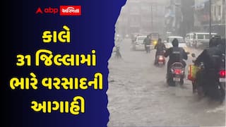 ગુજરાતમાં મેઘો 6 દિવસ ધબધબાટી બોલાવશે: કાલે 31 જિલ્લામાં ભારે વરસાદની આગાહી, દ્વારકામાં રેડ એલર્ટ