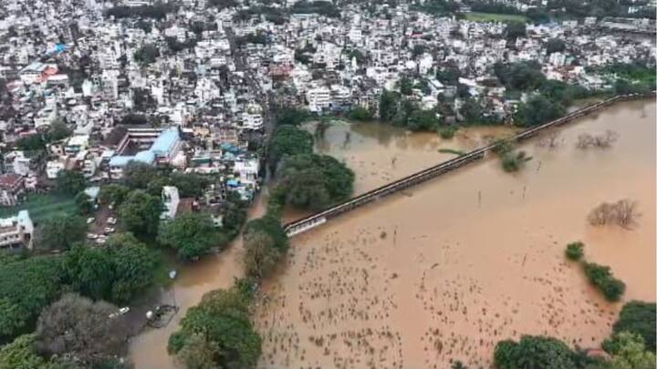 शेतीमध्ये देखील पुराचे पाणी शिरलं आहे.